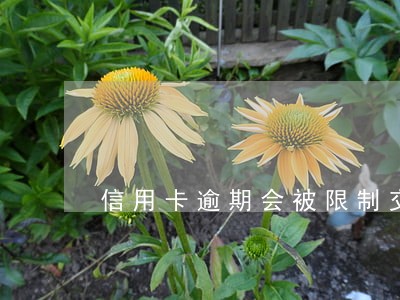 信用卡逾期会被限制交易吗 信用卡逾期会被限制交易吗