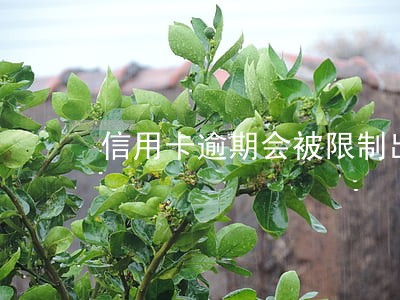 信用卡逾期会被限制出国吗