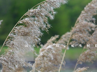 信用卡逾期会被限制高消费啊 信用卡逾期会被限制高消费啊