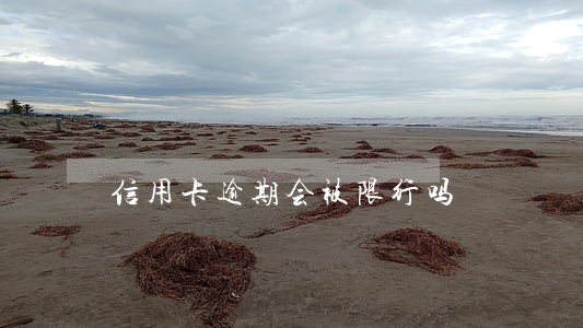 信用卡逾期会被限行吗 信用卡逾期会被限行吗