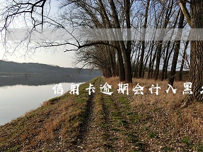 信用卡逾期会计入黑名单么