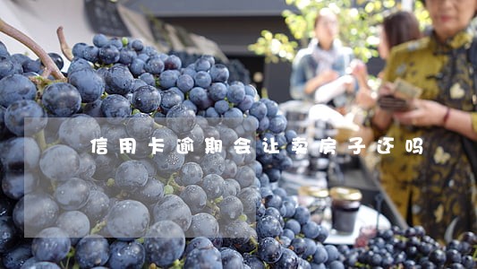 信用卡逾期会让卖房子还吗 信用卡逾期会让卖房子还吗