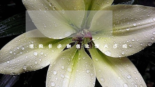 信用卡逾期会让家人还吗 信用卡逾期会让家人还吗