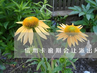 信用卡逾期会让派出所调查吗 信用卡逾期会让派出所调查吗