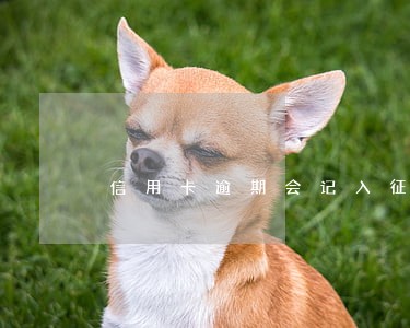 信用卡逾期会记入征信吗 信用卡逾期会记入征信吗