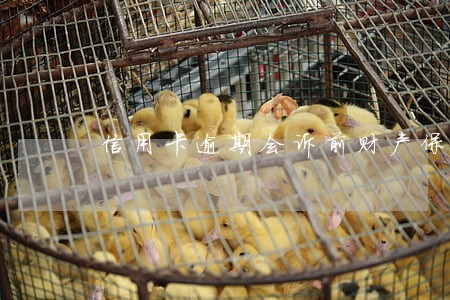 信用卡逾期会诉前财产保全吗 信用卡逾期会诉前财产保全吗
