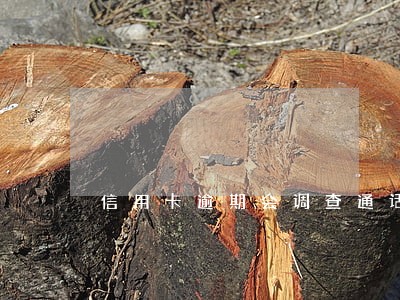 信用卡逾期会调查通话记录吗 信用卡逾期会调查通话记录吗