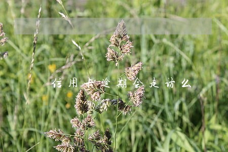 信用卡逾期会走访么