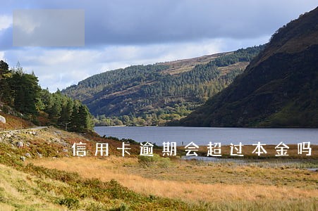 信用卡逾期会超过本金吗 信用卡逾期会超过本金吗