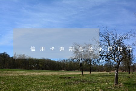 信用卡逾期会还不进银行卡吗