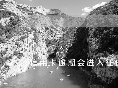 信用卡逾期会进入征信黑名单吗 信用卡逾期会进入征信黑名单吗