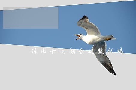 信用卡逾期会进监狱吗