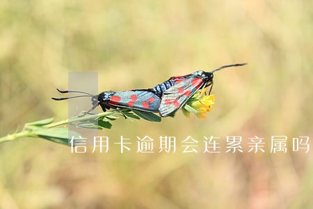 信用卡逾期会连累亲属吗 信用卡逾期会连累亲属吗