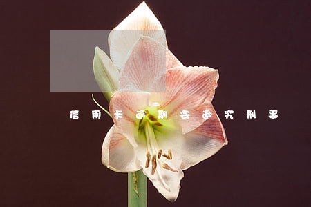 信用卡逾期会追究刑事 信用卡逾期会追究刑事