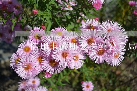 信用卡逾期会送到公安局吗
