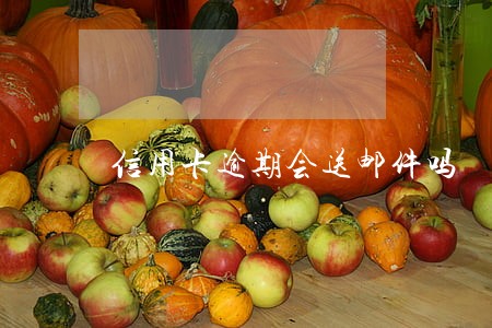 信用卡逾期会送邮件吗 信用卡逾期会送邮件吗