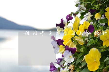 信用卡逾期会通知当地村委会吗 信用卡逾期会通知当地村委会吗