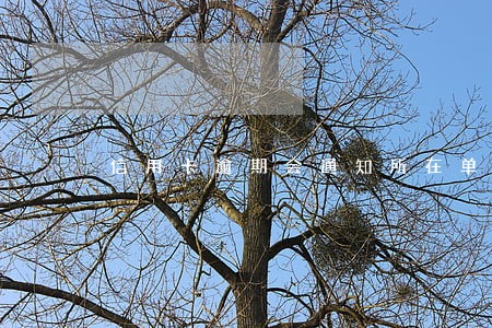 信用卡逾期会通知所在单位吗