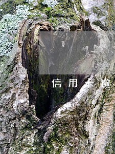 信用卡逾期会通知持卡人单位不 信用卡逾期会通知持卡人单位不