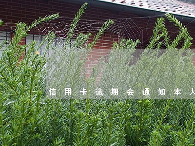 信用卡逾期会通知本人单位吗 信用卡逾期会通知本人单位吗