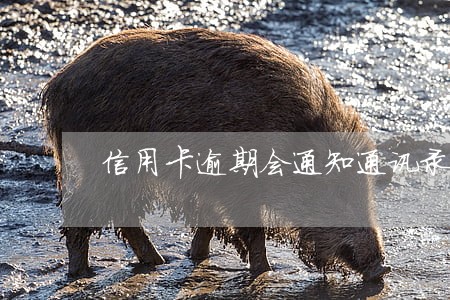 信用卡逾期会通知通讯录么