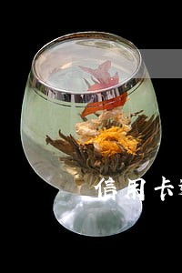 信用卡逾期会通过钉钉打卡找到吗
