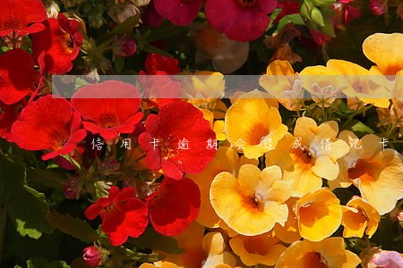 信用卡逾期会造成借记卡锁定么 信用卡逾期会造成借记卡锁定么