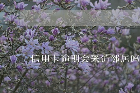 信用卡逾期会采访邻居吗 信用卡逾期会采访邻居吗