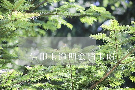 信用卡逾期会销卡吗