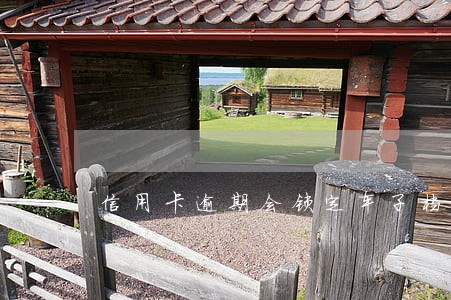 信用卡逾期会锁定车子档案吗 信用卡逾期会锁定车子档案吗