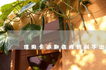 信用卡逾期会降额刷不出来吗 信用卡逾期会降额刷不出来吗