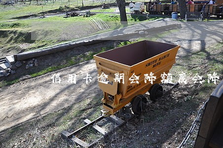 信用卡逾期会降额度会降多少 信用卡逾期会降额度会降多少