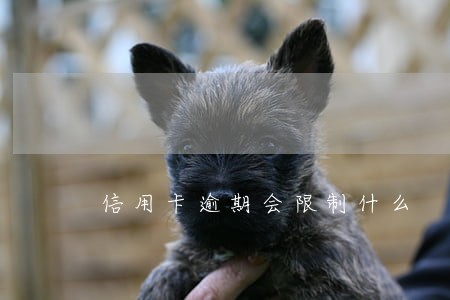 信用卡逾期会限制什么 信用卡逾期会限制什么