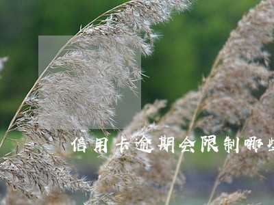 信用卡逾期会限制哪些出行 信用卡逾期会限制哪些出行