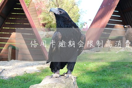 信用卡逾期会限制高消费令吗 信用卡逾期会限制高消费令吗