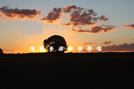 信用卡逾期会面临