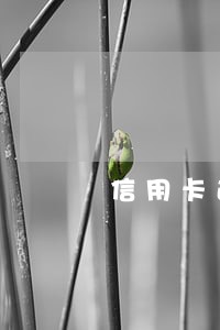 信用卡逾期会风控支付宝吗