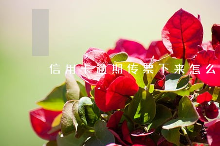 信用卡逾期传票下来怎么办