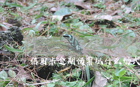 信用卡逾期传票以什么形式派送