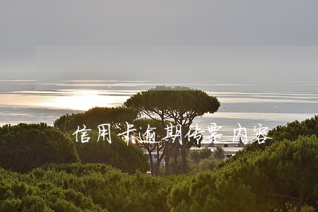 信用卡逾期传票内容