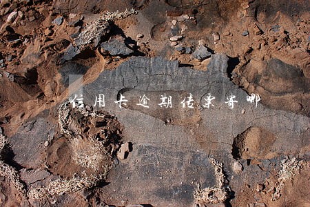 信用卡逾期传票寄哪