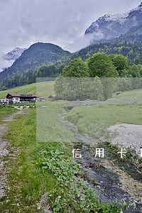 信用卡逾期传票没收到怎么办 信用卡逾期传票没收到怎么办