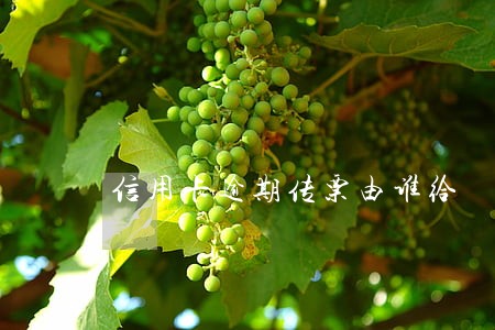 信用卡逾期传票由谁给 信用卡逾期传票由谁给