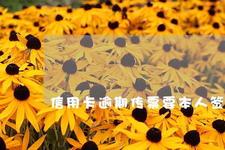 信用卡逾期传票要本人签收吗 信用卡逾期传票要本人签收吗