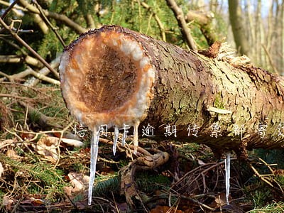 信用卡逾期传票都寄过来了怎么办 信用卡逾期传票都寄过来了怎么办