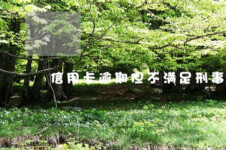 信用卡逾期但不满足刑事犯罪 信用卡逾期但不满足刑事犯罪