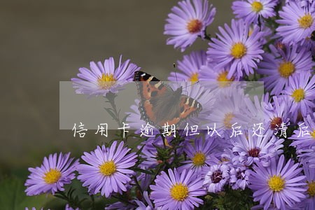 信用卡逾期但以后还清后果怎样 信用卡逾期但以后还清后果怎样