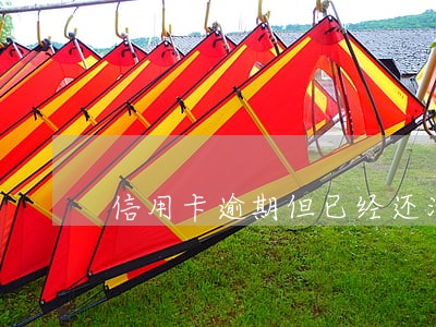 信用卡逾期但已经还清最低额度 信用卡逾期但已经还清最低额度