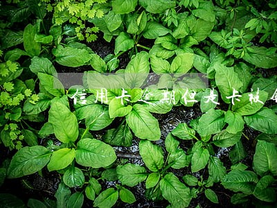 信用卡逾期但是卡被销户了 信用卡逾期但是卡被销户了