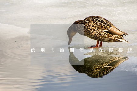 信用卡逾期但是在慢慢还